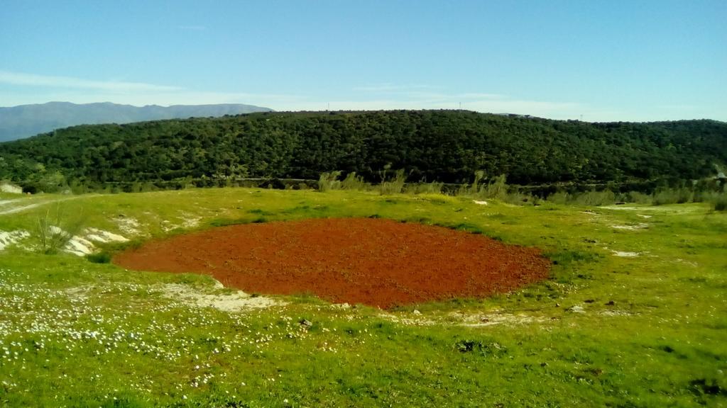 Apartamento O Casa Rural Roquemar Guijo de Granadilla Bagian luar foto